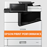 EPSON PRINT PERFORMANCE