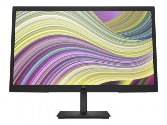 HP P22v G5 FHD Monitor 