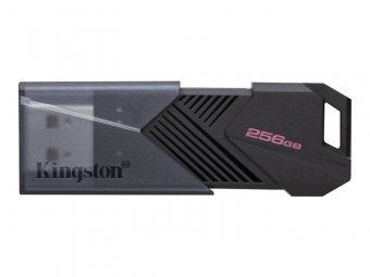 Kingston DataTraveler Onyx - Clé USB - 256 Go - USB 3.2 Gen 1 - noir mat 
