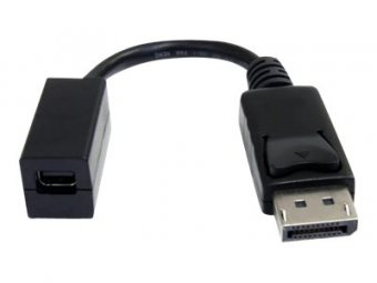 DisplayPort to Mini DisplayPort Adapter 