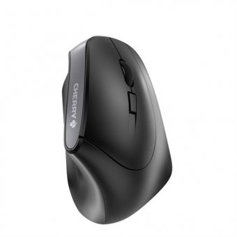 MW 4500 Wireless Ergonomic Mouse USB 