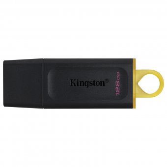 Kingston DataTraveler Exode - Clé USB - 128 Go - USB 3.2 Gen 1 
