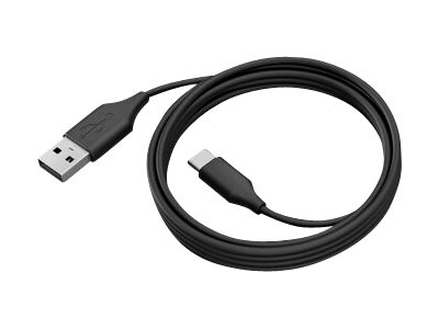 Jabra - Câble USB de type-C - USB-C pour USB type A - 2 m - pour PanaCast 50 