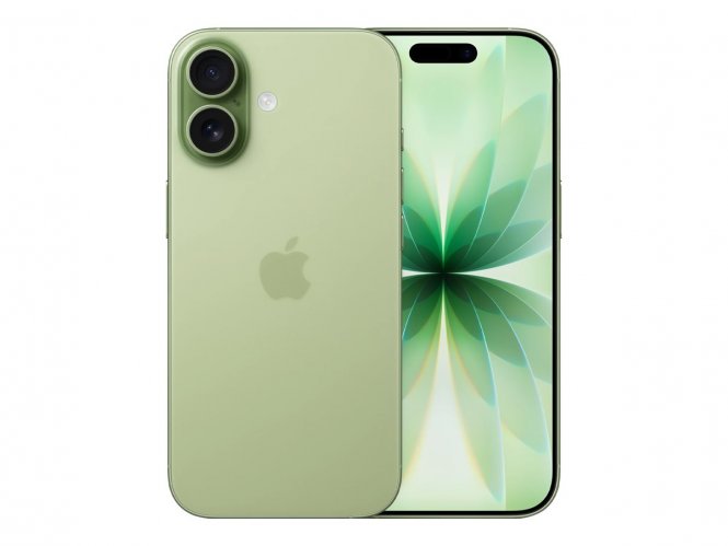 Apple iPhone 17 - 5G smartphone - double SIM / Mémoire interne 256 Go - écran OEL - 6.3" - 2622 x 1206 pixels (120 Hz) - 2x caméras arrière 48 MP, 48 MP - front camera 18 mégapixels - vert gris