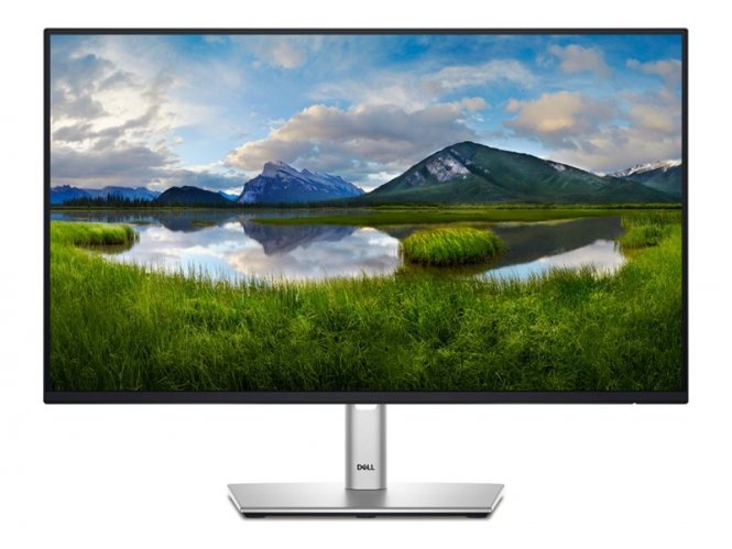 Dell 24 Monitor - P2425H 