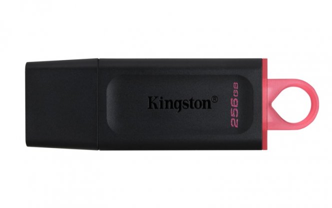 Kingston DataTraveler Exode - Clé USB - 256 Go - USB 3.2 Gen 1 - noir/rose 