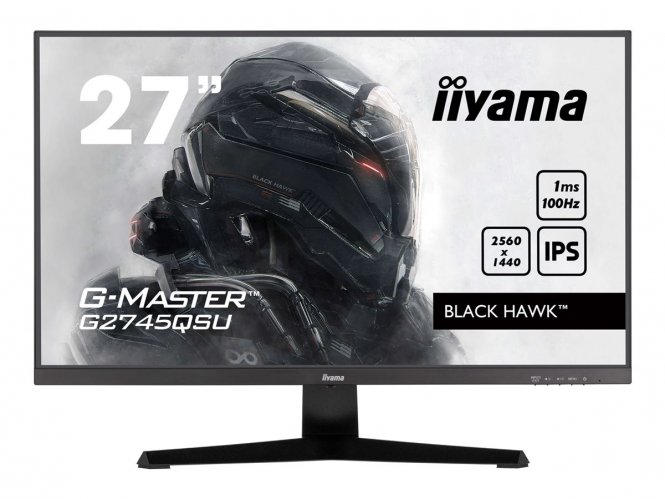 Ecran IIYAMA 27'' G-Master Black Hawk IPS 2560x1440 16:9 1ms 100Hz 300cd/m² 1300:1 FreeSync HPs HDMI DisplayPort 2xUSB HUB (3.2)