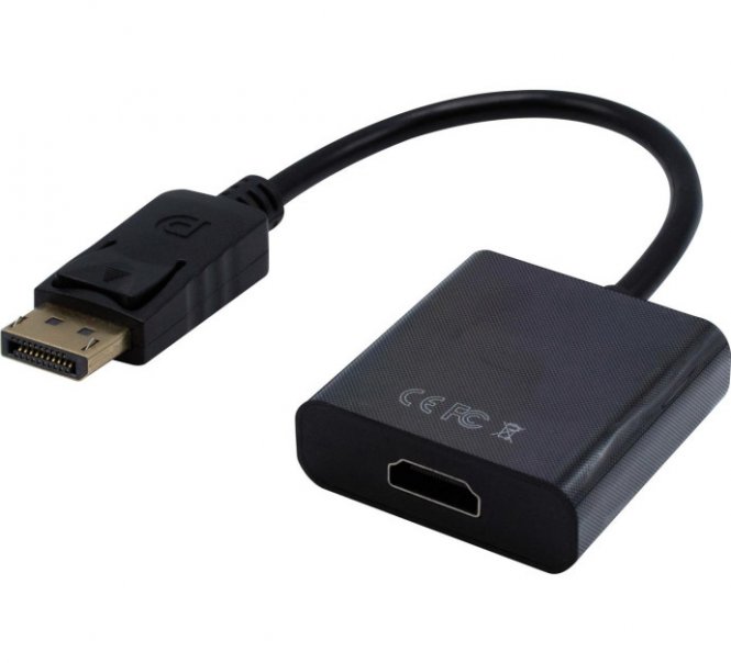 Convertisseur DisplayPort vers HDMI - 20cm 
