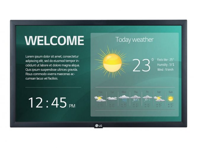 Monitor signage - 22SM3G 