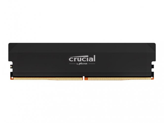 Crucial Pro - Overclocking Edition - DDR5 - module - 16 Go - DIMM 288 broches - 6000 MHz / PC5-48000 - CL36 - 1.35 V - mémoire sans tampon - noir 