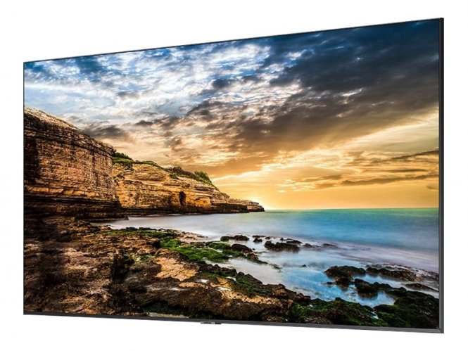 Samsung 65" QE65T 