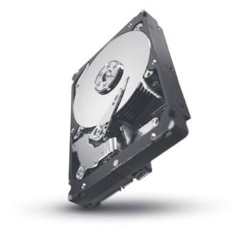 Seagate Constellation ES 1TB, 16Mb, 7200 rpm, 3.5 