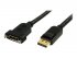 StarTech.com 3 ft / 91 cm 20 pin DP DisplayPort Extension Panel Mount Cable - DisplayPort to DisplayPort - Male to Female (DPPNLFM3PW) - Câble DisplayPort - DisplayPort (M) pour DisplayPort (F) - 91 cm - verrouillé, moulé - noir 