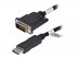 StarTech.com 10-Pack 6ft DisplayPort to DVI Cable, DisplayPort 1.2 to DVI-D Video Adapter Cable, 1080p, Passive DP++ to DVI Monitor Converter Cable, DP to DVI Digital Display, Male to Male - Passive DP 1.2 to DVI (DP2DVIMM6X10) - Câble adaptateur - Displa 