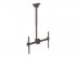 StarTech.com Support plafond court pour télévision à écran plat - Multidirectionnel (FPCEILPTBSP) - Support - pour écran plat - acier robuste - noir - Taille d'écran : 37"-75" - montable au plafond - pour P/N: HDMIPLATE 