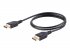 StarTech.com Câble Certifié VESA DisplayPort 1.4 1 m - 8K 60Hz HBR3 HDR - Cordon Écran Super UHD DisplayPort vers DisplayPort - Câble Fin Ultra HD 4K 120Hz DP 1.4 M/M Connecteur M/M (DP14MM1M) - Câble DisplayPort - DisplayPort (M) verrouillé pour DisplayP 