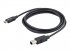 StarTech.com Câble USB-C vers USB-B de 2 m - USB Type-C - USB 2.0 - Câble USB - 24 pin USB-C (M) pour USB type B (M) - Thunderbolt 3 / USB 2.0 - 2 m - noir 