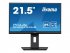 22/W LCD Business Full HD IPS 
