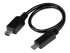 StarTech.com Câble USB OTG Micro USB vers Mini USB de 20 cm - Adaptateur USB On-The-Go - M/M - Noir - Câble USB - mini USB type B (M) pour Micro-USB de type B (M) - USB OTG - 20.32 cm - noir 