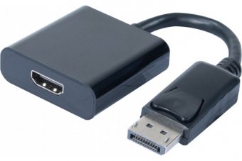 Convertisseur DisplayPort vers HDMI 20CM 