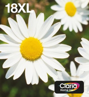 Epson 18XL Multipack Easy Mail Packaging - Pack de 4 - 31.3 ml - XL - noir, jaune, cyan, magenta - original - blister - cartouche d'encre - pour Expression Home XP-212, 215, 225, 312, 315, 322, 325, 412, 415, 422, 425 