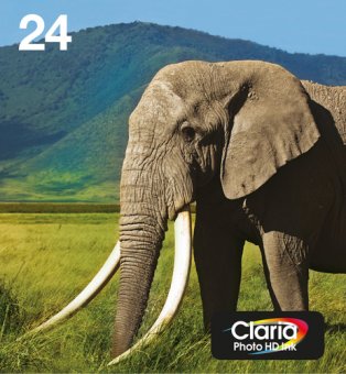 Epson 24 Multipack Easy Mail Packaging - Pack de 6 - 29.1 ml - noir, jaune, cyan, magenta, magenta clair, cyan clair - original - boîte - cartouche d'encre - pour Expression Photo XP-55, XP-750, XP-760, XP-850, XP-860, XP-950, XP-960, XP-970 