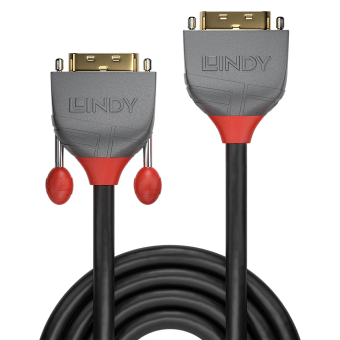 Lindy Rallonge DVI-D Dual Link, Anthra Line, 0.5m 
