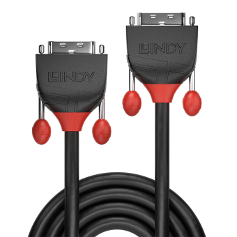 Lindy Câble DVI-D Dual Link, Black Line, 1m 
