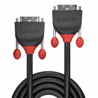 Lindy Câble DVI-D Single Link, Black Line, 1m 