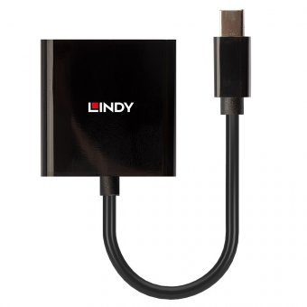 Lindy Convertisseur actif Mini DisplayPort vers DVI 