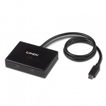 Lindy Switch bidirectionnel USB 3.2 Gen 1 Type C, 2 ports 