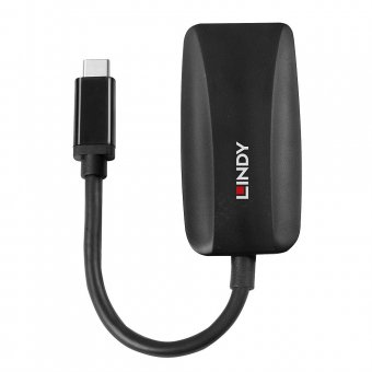 Lindy Convertisseur USB Type C vers DisplayPort 8K60 