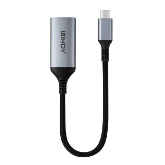 Lindy Convertisseur USB Type C vers DisplayPort 8K60 - disponible 24 / 48h 