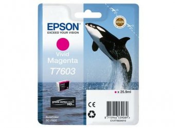 Epson T7603 - 25.9 ml - Magenta vif - original - blister - cartouche d'encre - pour SureColor SC-P600 