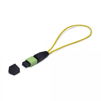 Single Mode MPO-12 Female Loopback Plug 
