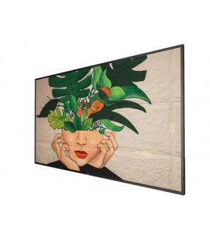 Philips 55 D-Line FHD 24/7 