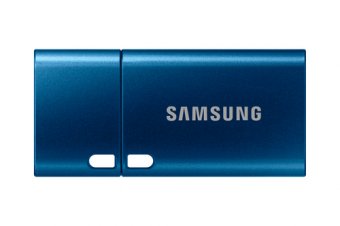 Samsung MUF-256DA - Clé USB - 256 Go - USB-C 3.2 Gen 1 - bleu 