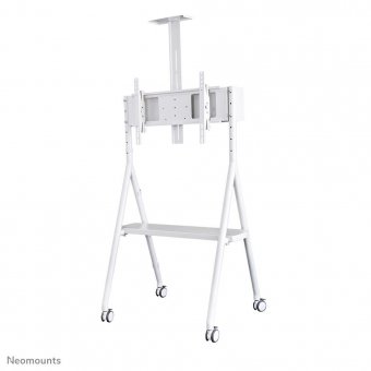 Neomounts by Newstar Mobile Monitor/TV Floor Stand  for 32-65" screen - White 