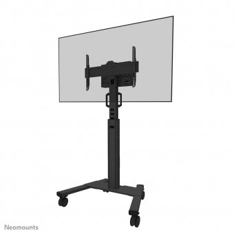 Neomounts FL50S-825BL1, Mobile Display  Trolley,  37-75", Max 70 kg,  - disponible 15 jours 