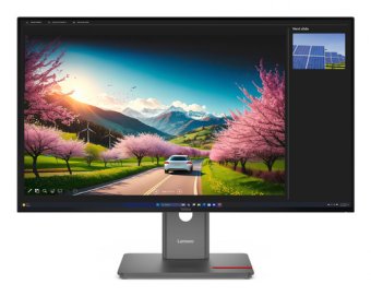 Lenovo ThinkVision P32UD-40 - Écran LED - 32" (31.5" visualisable) - 3840 x 2160 4K @ 120 Hz - IPS - 350 cd/m² - 1500:1 - HDR10 - 4 ms - 2xThunderbolt 4, 2xDisplayPort, HDMI, USB-C - noir corbeau 