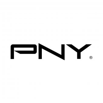 PNY XLR8 CS3040 4 to M.2 PCIe NVMe Gen4 x4 Disque SSD Interne, Vitesse de Lecture jusqu'à 5600 Mo/s 