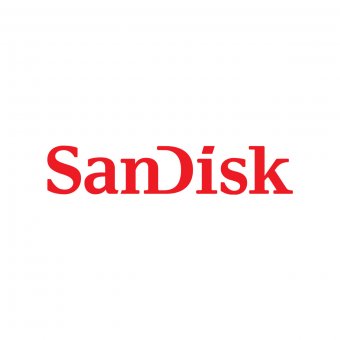 SanDisk microSDHC 256GB HE w/Adapter 