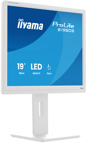 iiyama ProLite B1980S-W1 - Écran LED - 19" - 1280 x 1024 @ 75 Hz - TN - 250 cd/m² - 1000:1 - 3 ms - HDMI, DisplayPort - haut-parleurs - blanc, mat 
