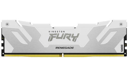 24GB 8000MT/s DDR5 CL38 DIMM FURY Renega