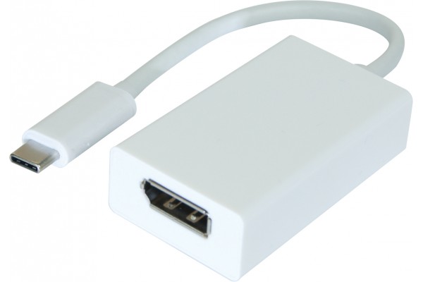 Adaptateur USB 3.1 Type-C vers DisplayPort 1.2 