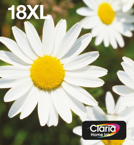 EPSON Ink/18XL Daisy CMYK - disponible 15 jours