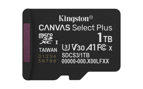 Kingston Canvas Select Plus - Carte mémoire flash - 1 To - A1 / Video Class V30 / UHS-I U3 / Class10 - microSDXC UHS-I 