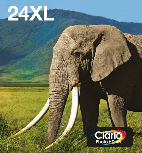 EPSON Ink/24XL Elephant CLcMLmYK - disponible 15 jours 