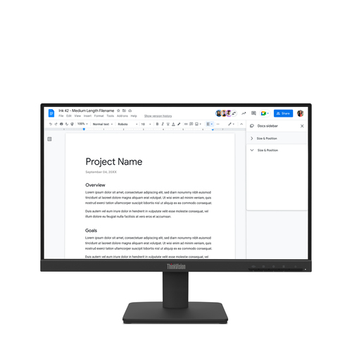 Lenovo ThinkVision S22-4e - Écran LED - 1920 x 1080 Full HD (1080p) @ 100 Hz - IPS - 250 cd/m² - 1300:1 - 4 ms - HDMI, VGA - noir corbeau 
