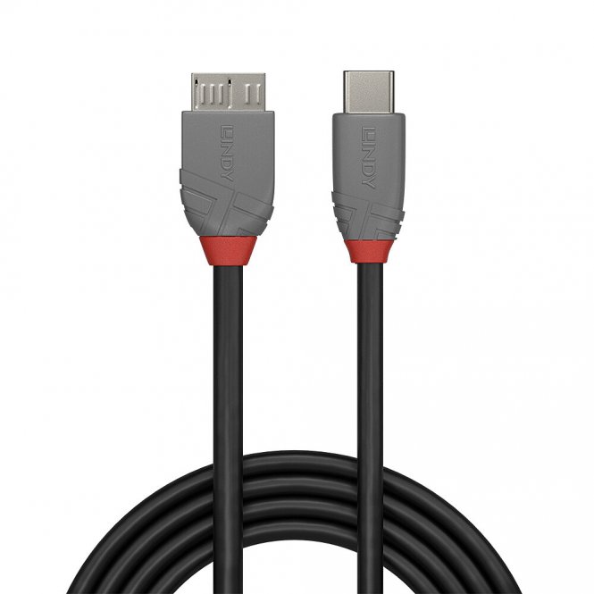 Lindy Câble USB 3.2 Type C vers Micro-B Cable, 5Gbit/s, Anthra Line, 2m 